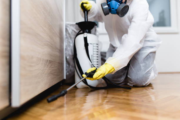 Best Wasp Removal Services  in Homer, AK