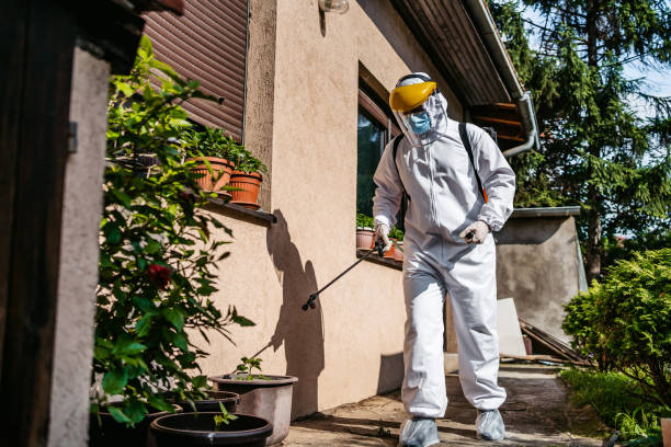 Best Rat Extermination Near Me  in Homer, AK