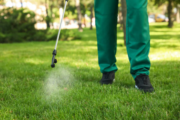 Best Affordable Pest Control Services  in Homer, AK