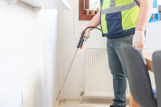 Best Termite Control Services  in Homer, AK