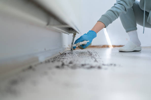 Best Pest Control Near Me in Homer, AK