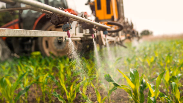 Best Mosquito Control Services  in Homer, AK